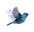 Shattered Paper Bird illustration Royalty Free Stock Photo
