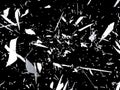 Shattered or splitted glass Pieces isolated on black Royalty Free Stock Photo