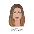 Shatush hair illustration. Royalty Free Stock Photo