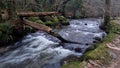 Shaugh prior, River Plym , Dartmoor National Park Devon