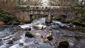 Shaugh prior, River Plym , Dartmoor National Park Devon