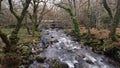 Shaugh prior, River Plym , Dartmoor National Park Devon