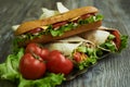 Shaurma chicken roll and long subway sandwich Royalty Free Stock Photo