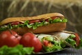 Shaurma chicken roll and long subway sandwich Royalty Free Stock Photo