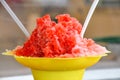 Shaved Ice Snow Cone