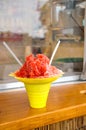 Shaved Ice Snow Cone