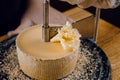 Shaving tete de moine cheese using girolle knife. Monks head. Variety of Swiss semi-hard cheese made from cows milk