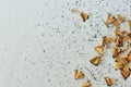 Shavings from sharpened pencil