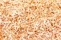 Shavings in workshop wood sawdust texture background