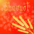 Shavuot. Concept of Judaic holiday. Ears of wheat