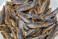 Shawa fish Herring or sardine before cleaning and deboning Royalty Free Stock Photo