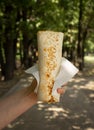 Shawarma in a female hand shot on the street against the background of green trees