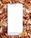 Shawarma, gyros, online order. Traditional turkish, greek meat food and a mobile phone