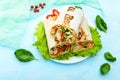 Shawarma - Middle Eastern dish made from lavash pita, stuffed with chicken, mushrooms, fresh vegetable Royalty Free Stock Photo
