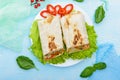 Shawarma - Middle Eastern dish made from lavash Royalty Free Stock Photo