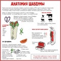 Shawarma`s Anatomy