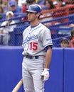 Shawn Green, Los Angeles Dodgers