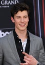 Shawn Mendes Royalty Free Stock Photo