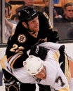 Shawn Thornton Boston Bruins Royalty Free Stock Photo