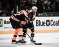 Shawn Thornton, Boston Bruins Royalty Free Stock Photo