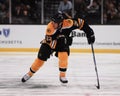 Shawn Thornton, Boston Bruins Royalty Free Stock Photo