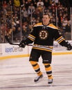Shawn Thornton Boston Bruins