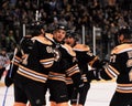 Shawn Thornton, Boston Bruins Royalty Free Stock Photo