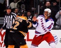 Shawn Thornton fighting Donald Brashear