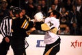 Shawn Thornton and Matt Cooke fight Royalty Free Stock Photo