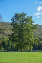 Shawnee on Delaware, Pennsylvania: An old couple sitting on a bench under a tree on the banks of the Delaware River Royalty Free Stock Photo