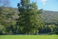 Shawnee on Delaware, Pennsylvania, USA: An old couple sitting on a bench under a tree Royalty Free Stock Photo