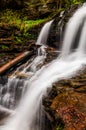 Shawnee Falls, at Ricketts Glen State Park