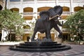 Shawu the Elephant - Sun City