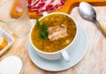 Shchi, cabbage soup cooked on mushroom broth with pork and sour cream Royalty Free Stock Photo