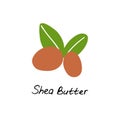 Shea butter. Cosmetic ingredient. Nutritional oil for skin care. Hand-drawn icon of shea nut. Vector illustration