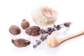 Shea butter and nuts Royalty Free Stock Photo