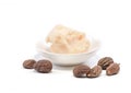 Shea butter nuts on white