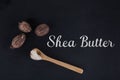 Shea butter and shea nuts Royalty Free Stock Photo