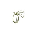 Shea nut green icon. vitellaria beauty and cosmetics oil