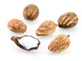 Shea nuts Royalty Free Stock Photo