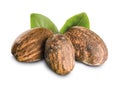 Shea nuts with leaves Royalty Free Stock Photo