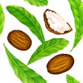 Shea nuts with leaves in vector pattern.