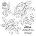 Shea vector set