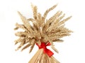 Sheaf Royalty Free Stock Photo