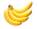 Sheaf of bananas. Isolated on white background Royalty Free Stock Photo