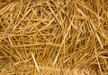 Sheaf of dry yellow straw for background