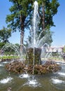 The Sheaf Fountain. Petrodvorets. Petersburg