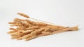 A Sheaf of Golden Wheat.AI generated image Royalty Free Stock Photo