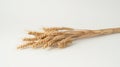 A Sheaf of Golden Wheat.AI generated image Royalty Free Stock Photo