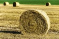 Sheaf harvest at sunset, alimentation